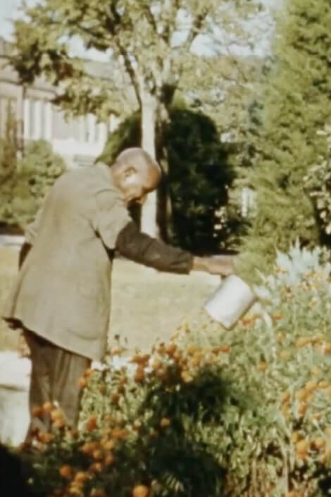 The Plant Doctor