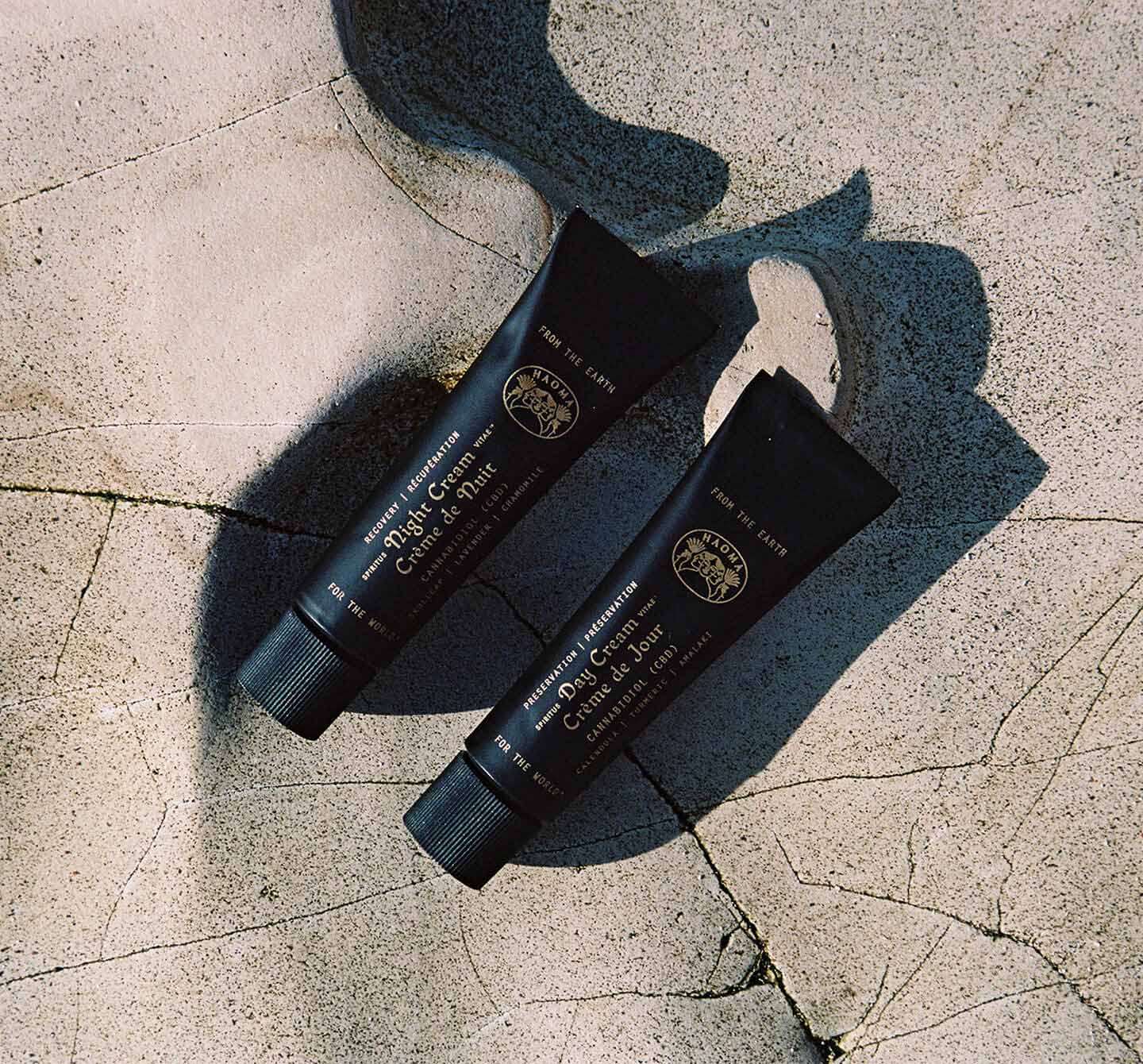 Day + Night Duo