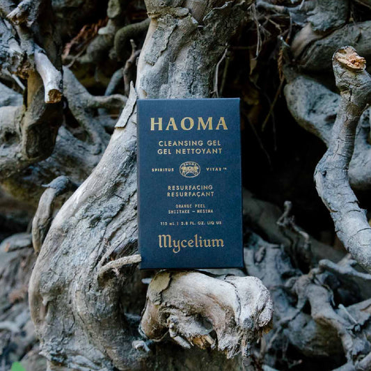 HAOMA Mycelium Cleansing Gel on driftwood