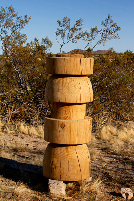When a Tree Falls – HAOMA