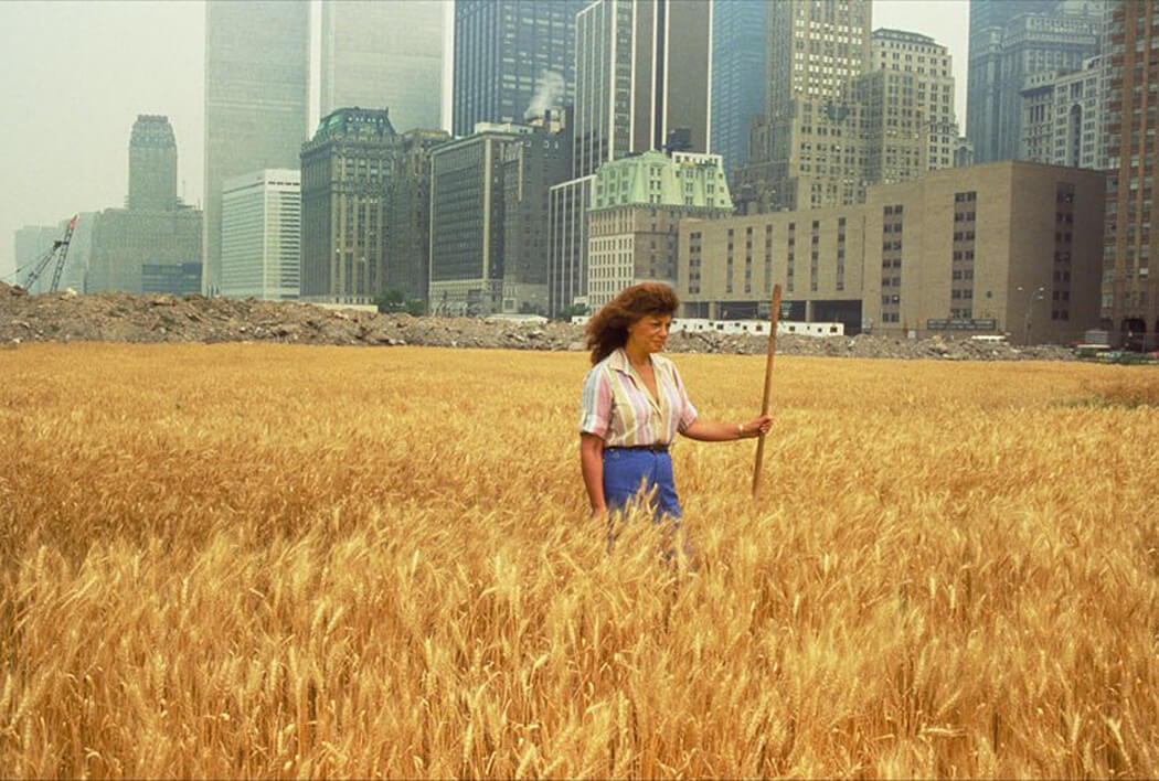 Agnes Denes, Wheatfield—A Confrontation. Two acres of wheat planted and harvested by the artist on the Battery Park landfill, Manhattan, Summer 1982. Commissioned by Public Art Fund. Courtesy the artist and Leslie Tonkonow Artworks + Projects. Photo: John McGrall.