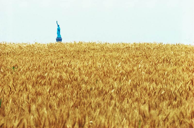 Agnes Denes, Wheatfield—A Confrontation. Two acres of wheat planted and harvested by the artist on the Battery Park landfill, Manhattan, Summer 1982. Commissioned by Public Art Fund. Courtesy the artist and Leslie Tonkonow Artworks + Projects.