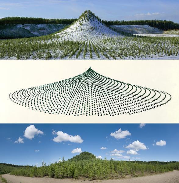 Tree Mountain – A Living Time Capsule—11,000 Trees, 11,000 People, 400 Years (Triptych), 1992—96, 1992/2013. Chromogenic print, 36 × 36