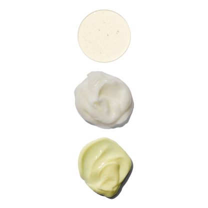 Mycelium Reset Duo