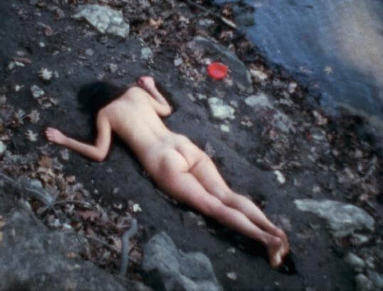 Ana Mendieta, Corazon de Roca con Sangre , 1975
