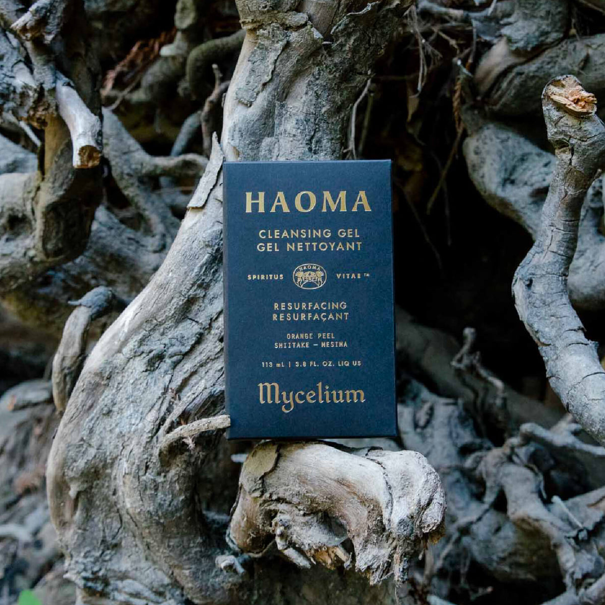 HAOMA Mycelium Cleansing Gel on driftwood