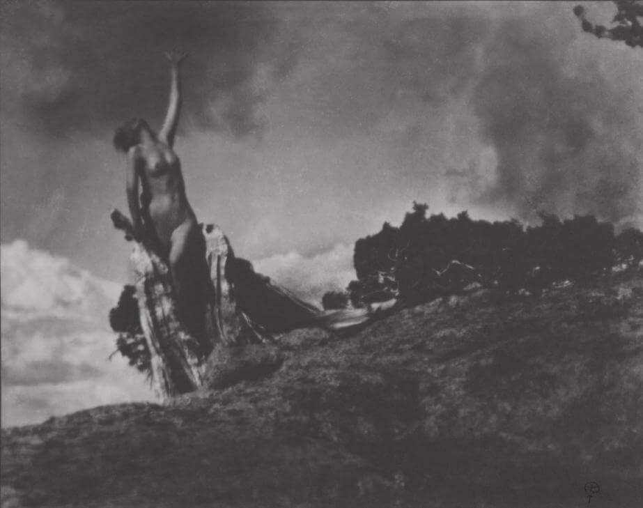 Anne Brigman, Soul of Blasted Pine , 1906