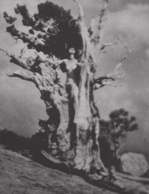 Anne Brigman, Invictus , 1925-26